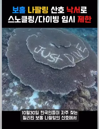 보홀 나팔링 폐쇄 ㅜㅜㅜ 하지말라는건 하지 맙시다 !!!! 